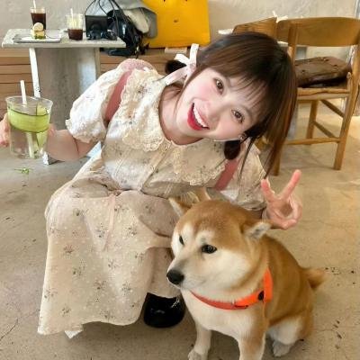 致命档案